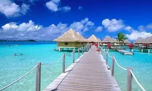 夏日的婚礼