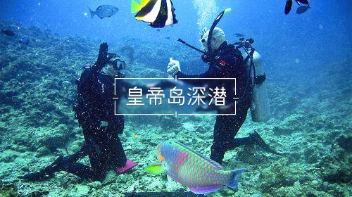 大话2经典版